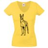 Lady-fit Valueweight V-Neck T-Shirt Thumbnail